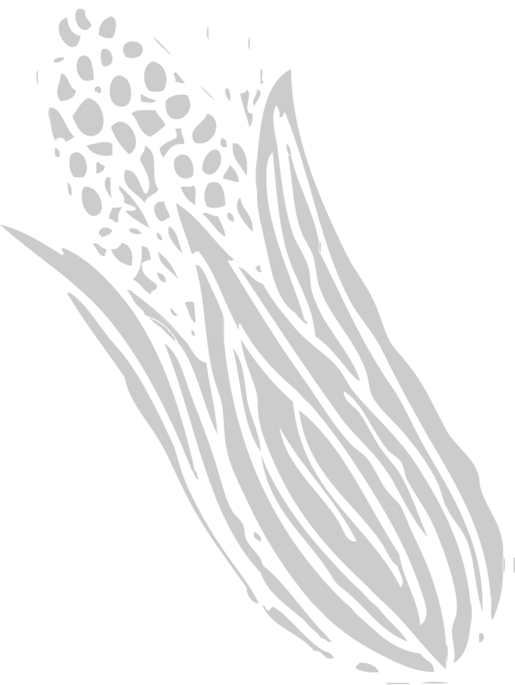 Corn farm vector