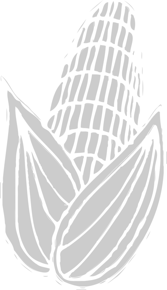 Corn farm vector