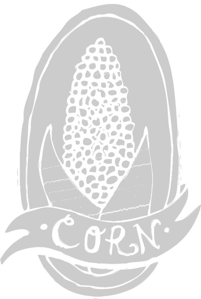 Corn farm vector
