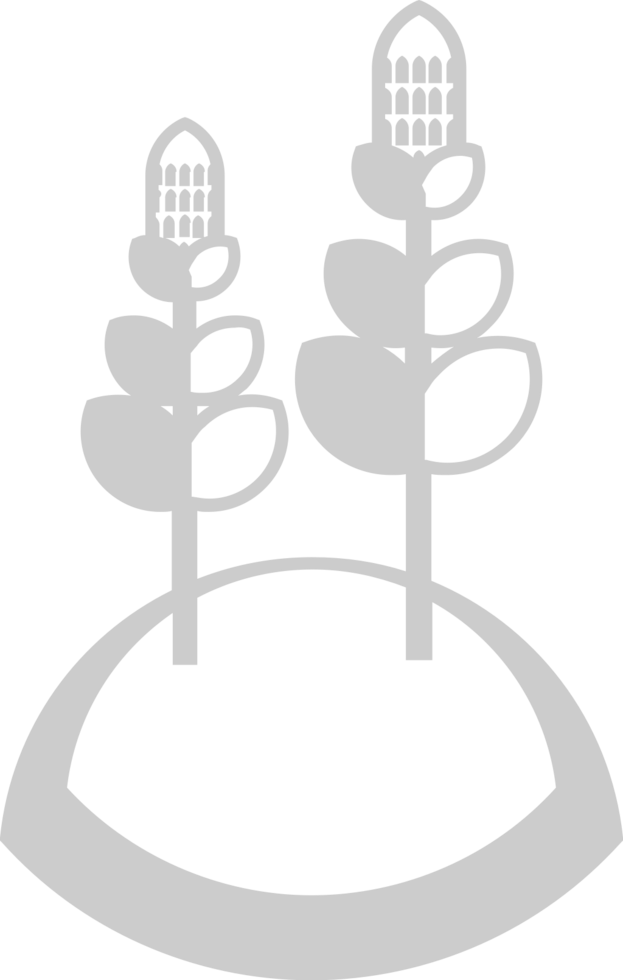Corn farm vector