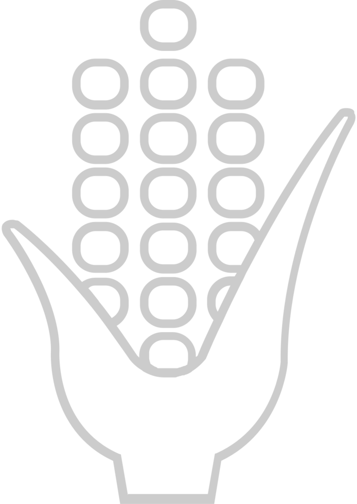Corn farm vector