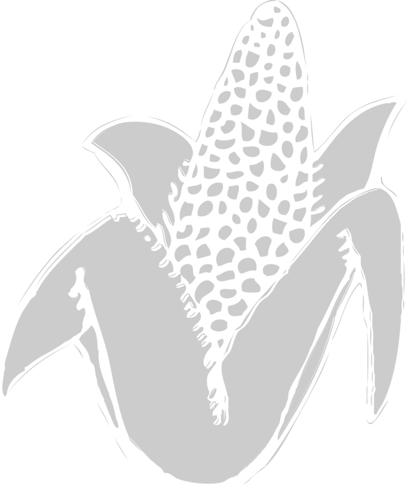 Corn farm vector