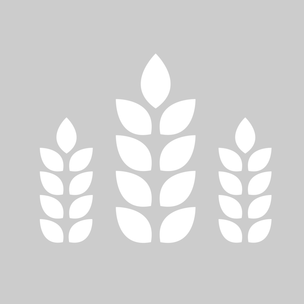 Farm wheat vector