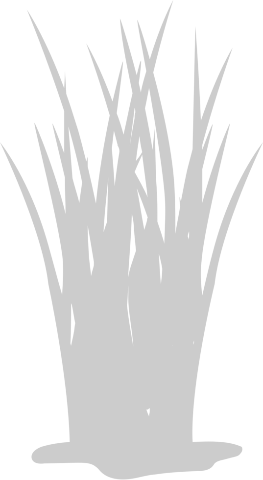 Farm wheat vector