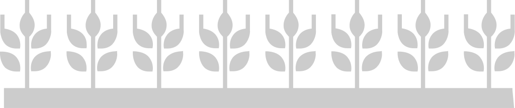 Farm wheat vector