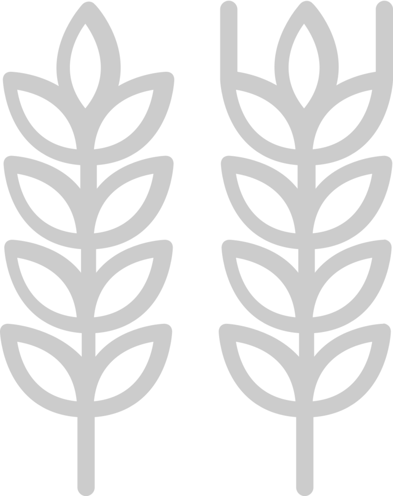 Farm wheat vector