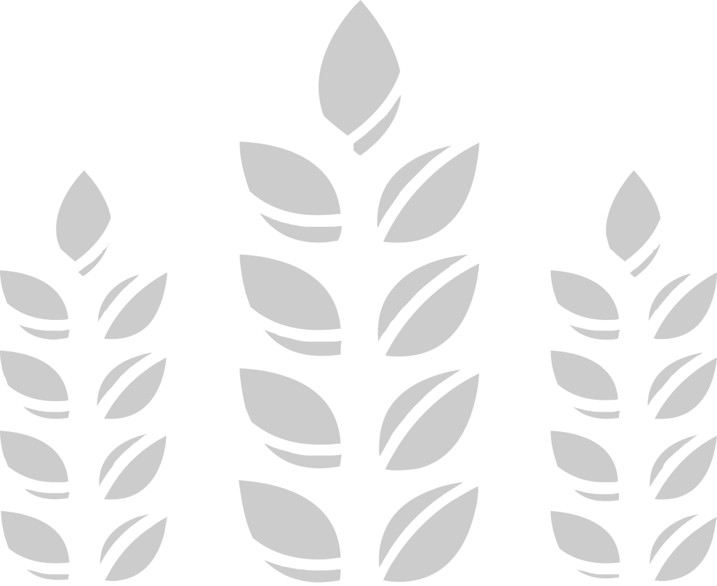 Farm wheat vector