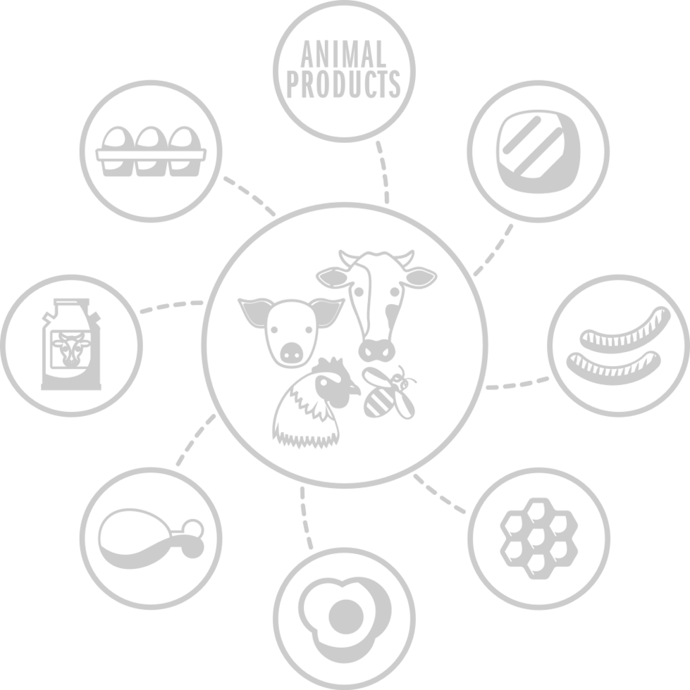 Farm  vector