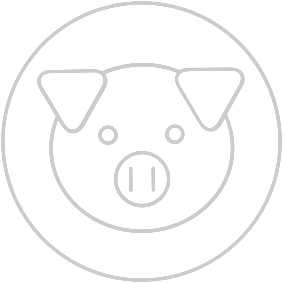 Farm animal pig vector