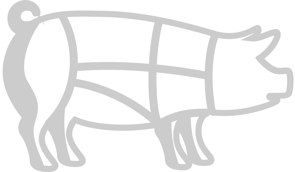 Farm animal pig vector