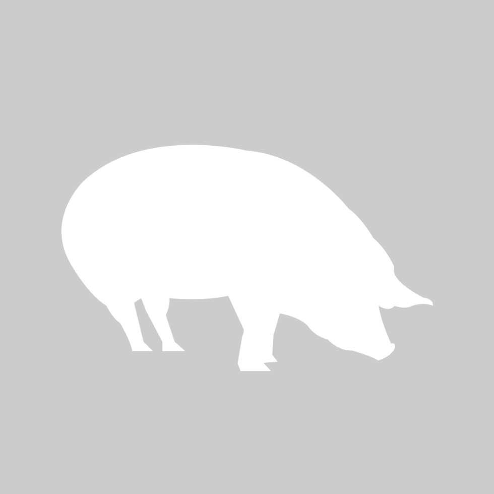 Farm animal pig vector