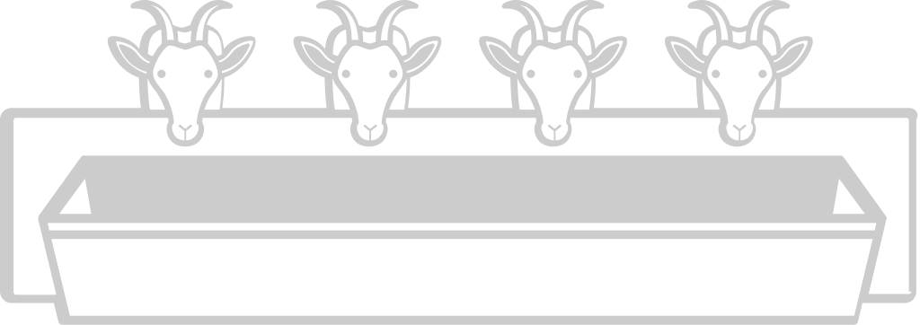Farm animal goat vector