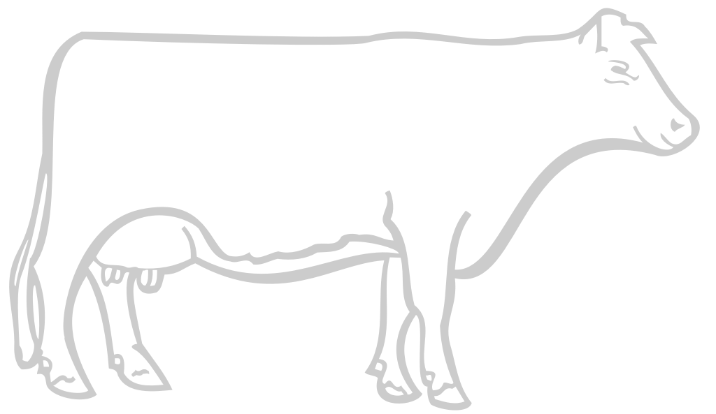 Farm animal cow vector