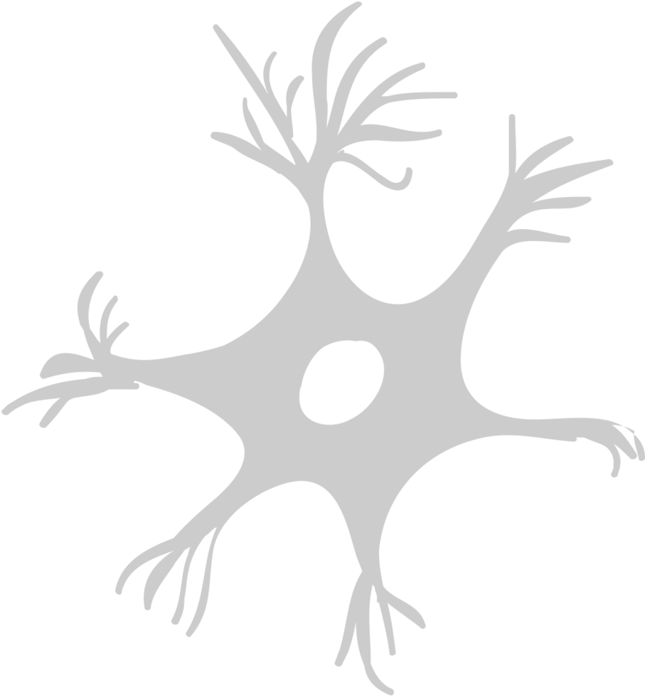 Neuron biology vector
