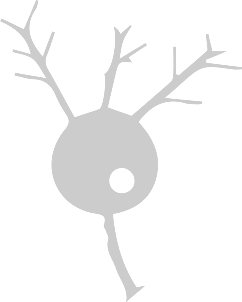 Neuron biology vector