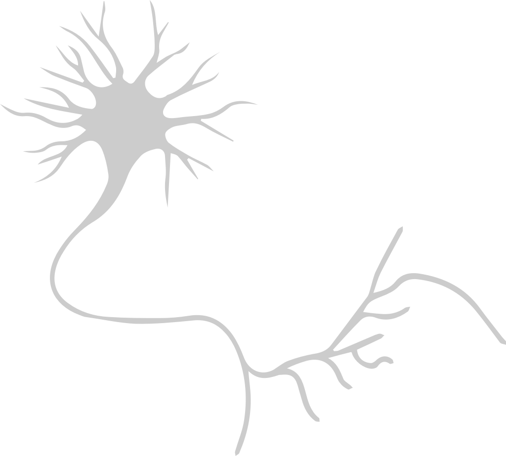 Neuron biology vector