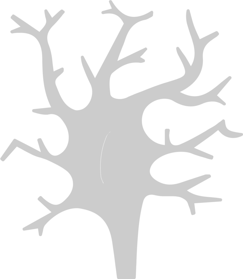 Neuron biology vector