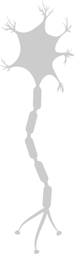 biología neuronal vector