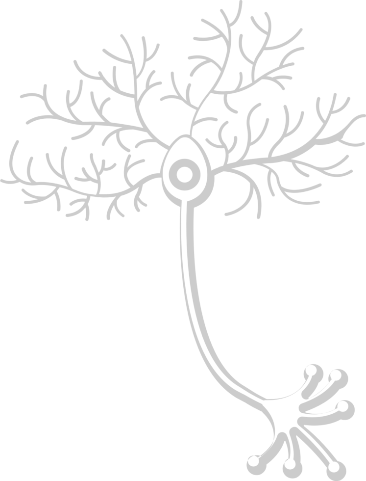 Neuron biology vector