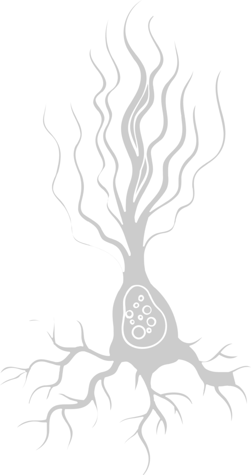 Neuron biology vector