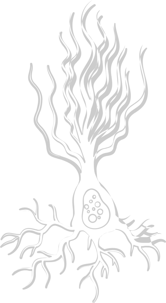 Neuron biology vector