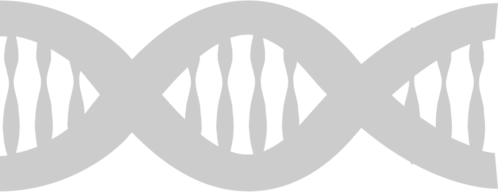 Biology DNA vector