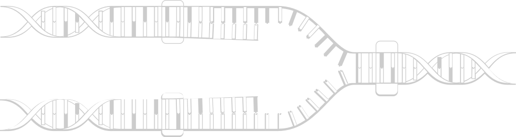 Biology DNA vector