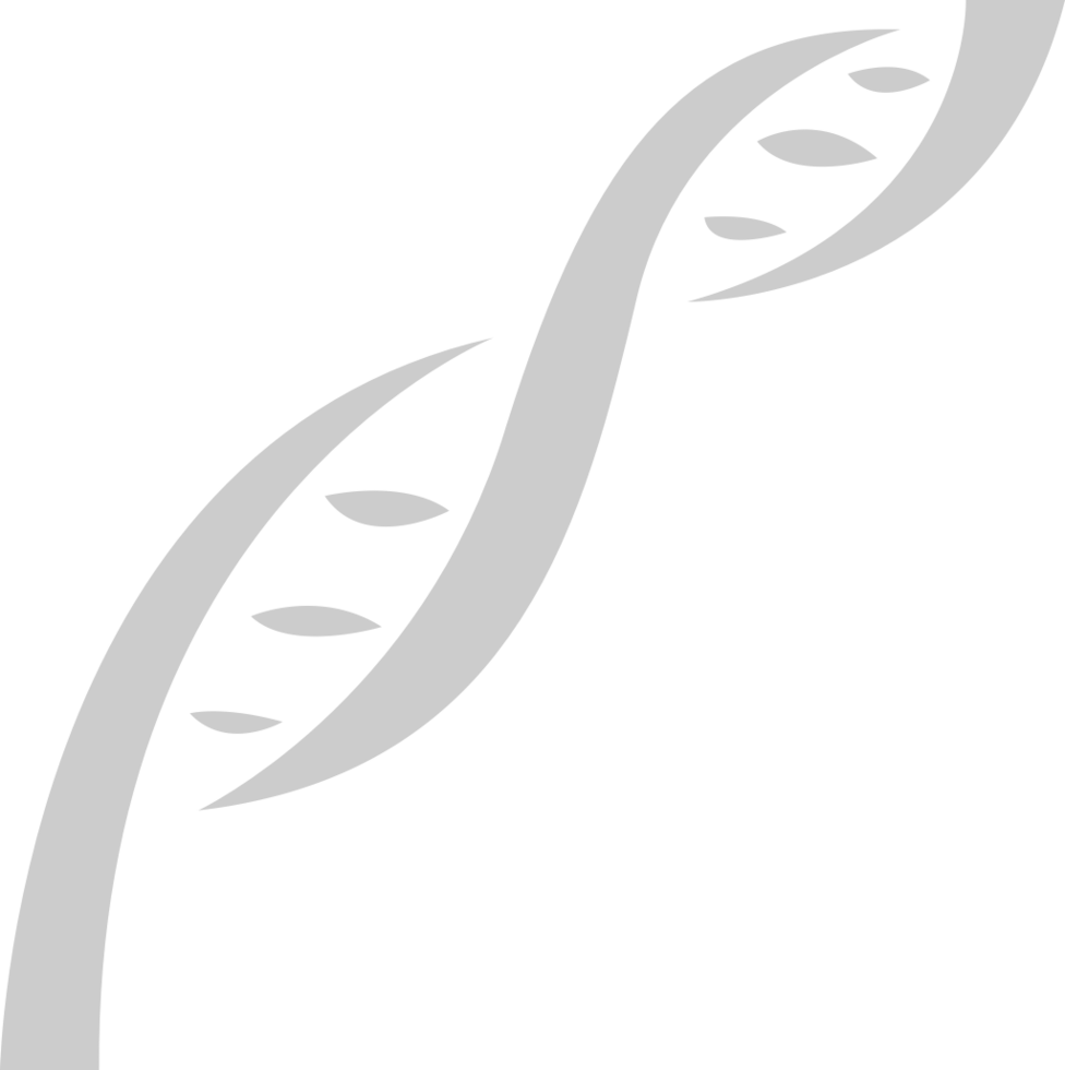 Biology DNA vector