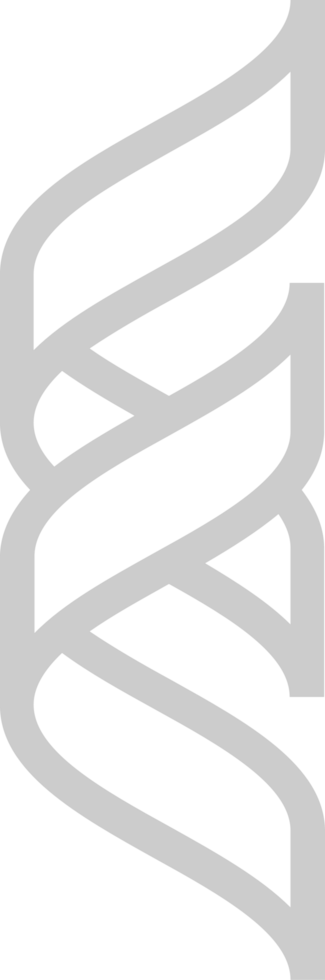 Biology DNA vector