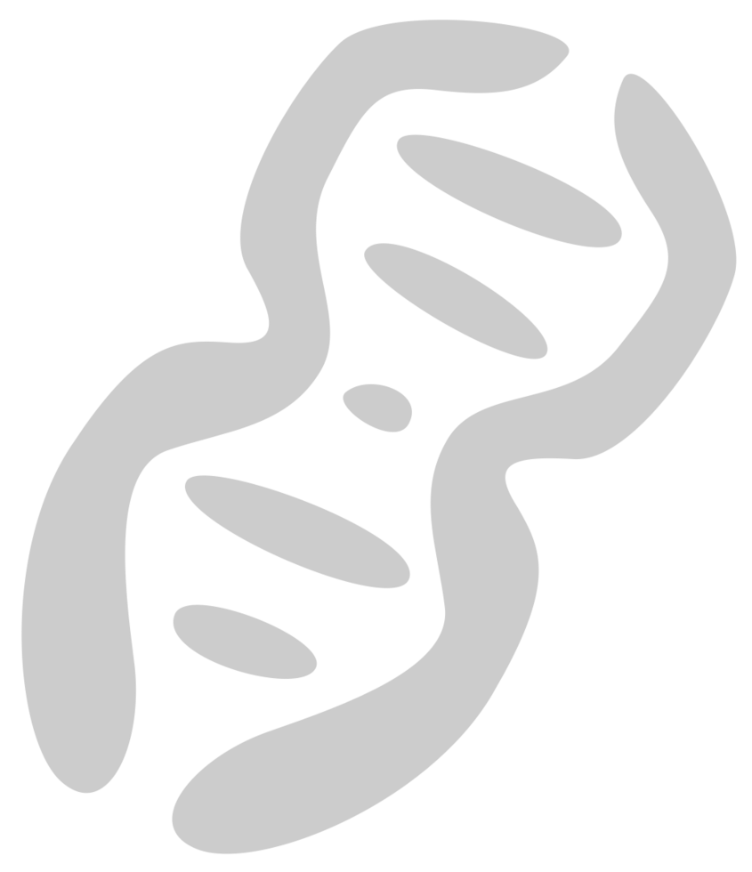 Biology DNA vector