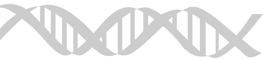 Biology DNA vector