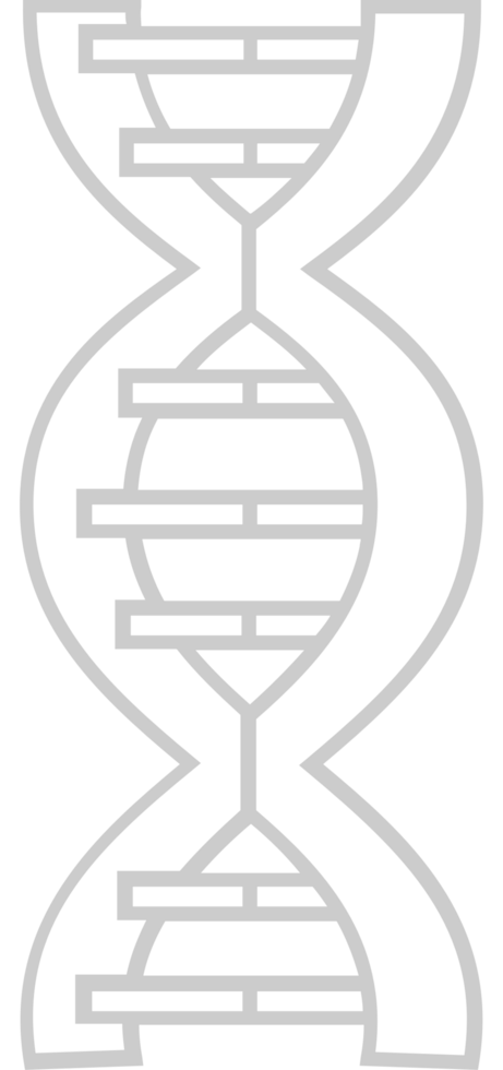 Biology DNA vector