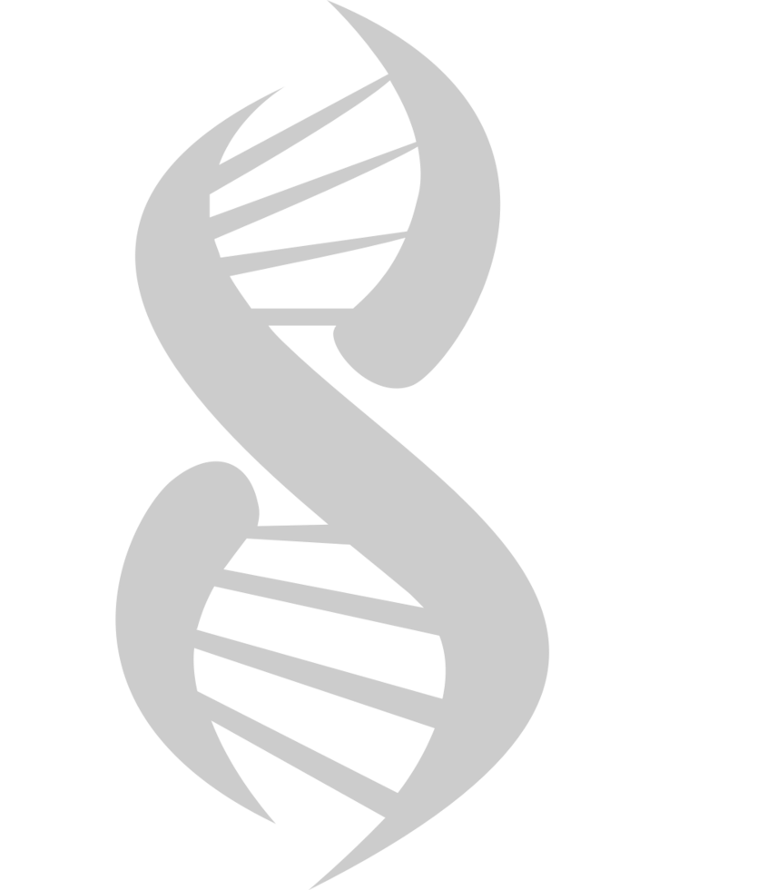 Biology DNA vector