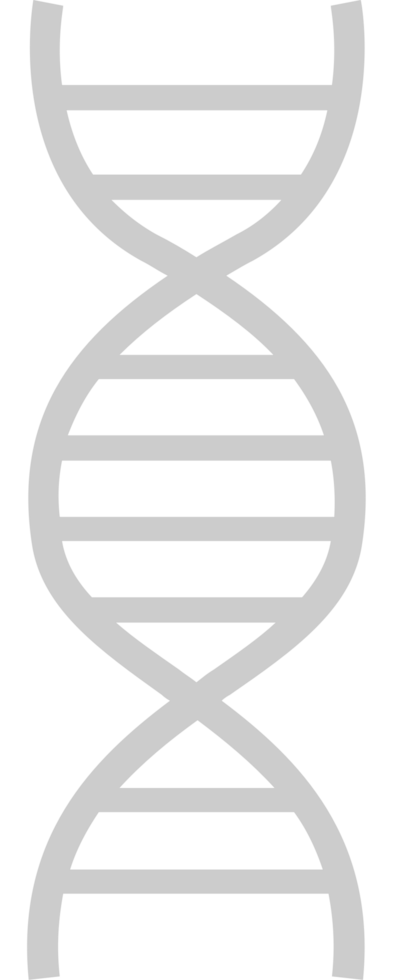 Biology DNA vector