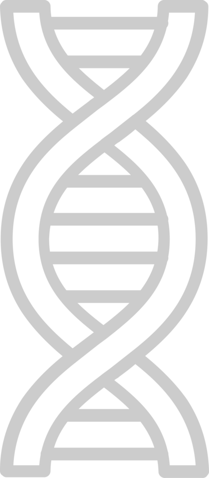 Biology DNA vector