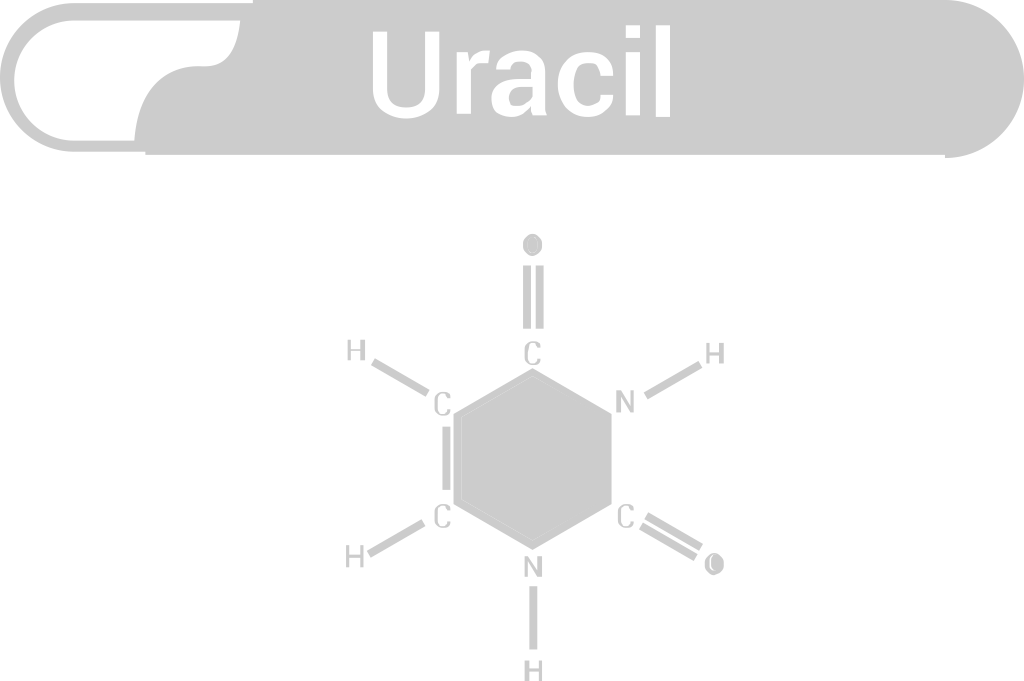 Biology DNA vector