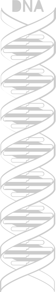 Biology DNA vector