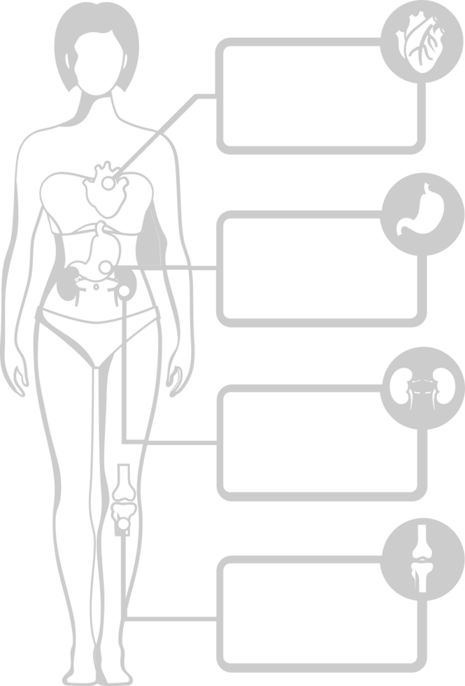 Biology human body vector