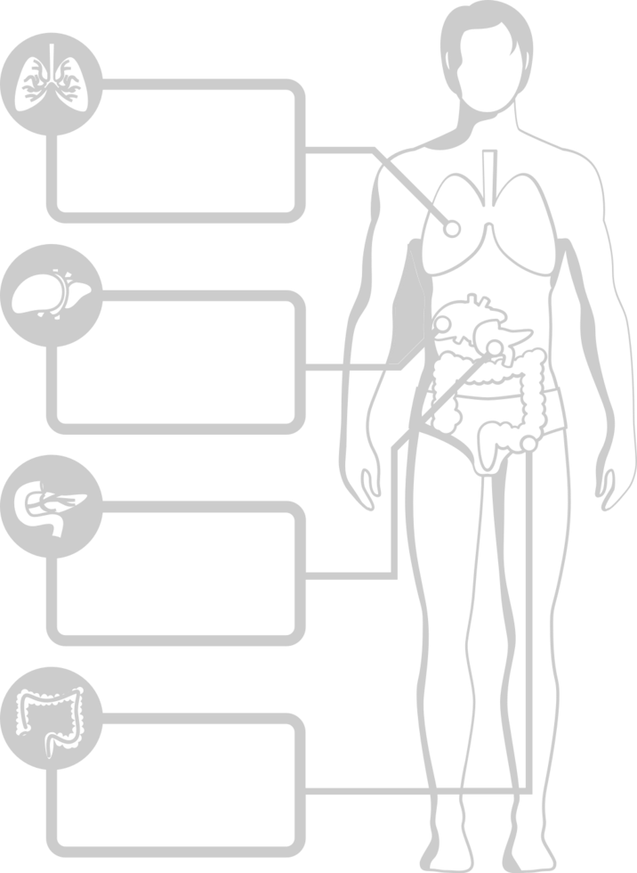 Biology human body vector