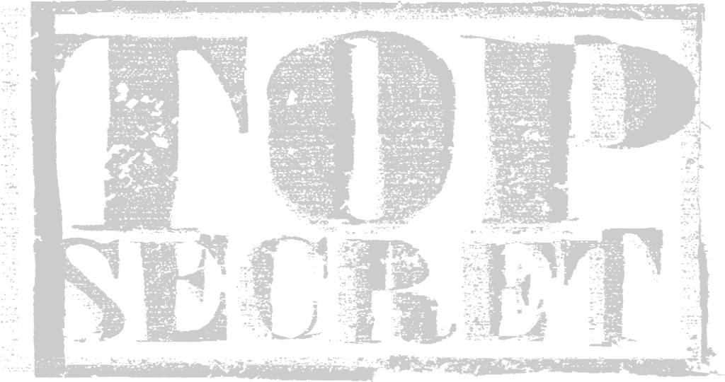 Stamp top secret vector