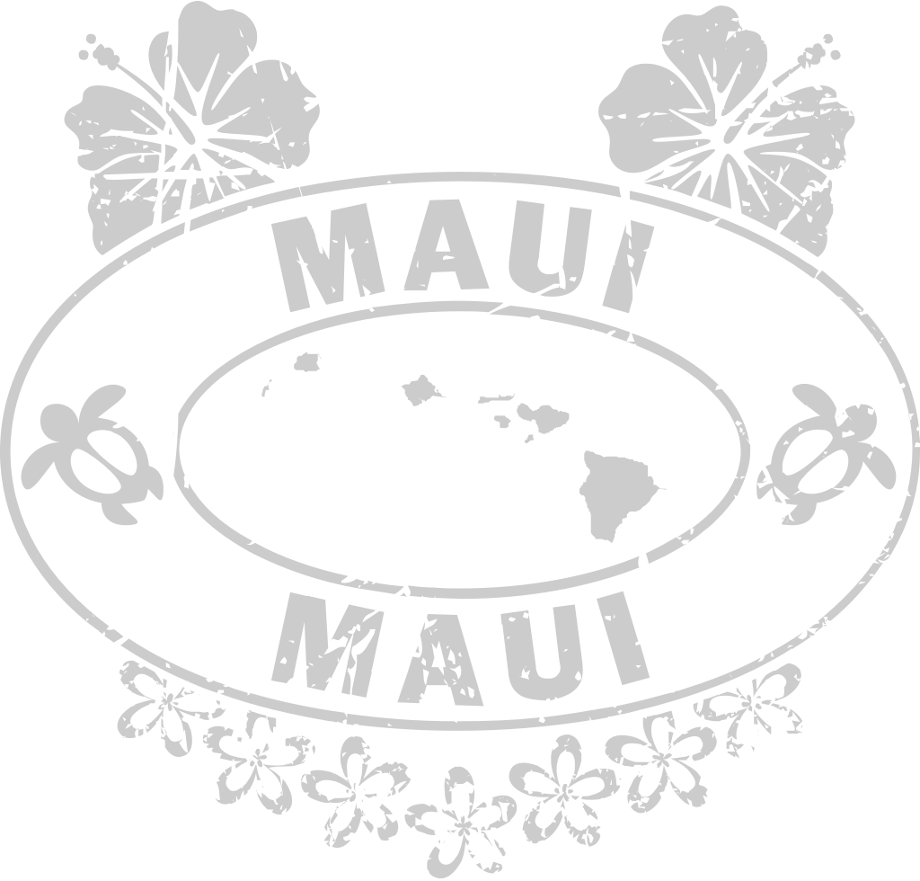 Stamp post hawaii vector