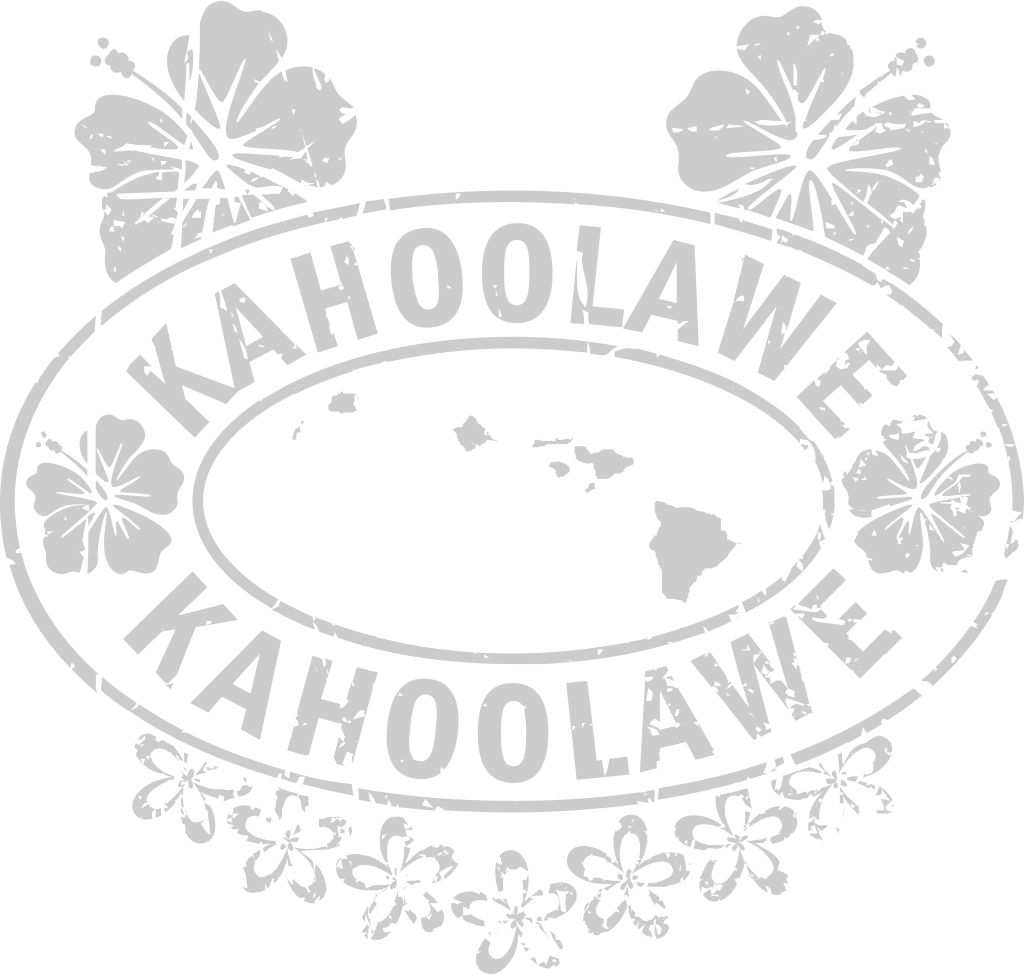 Stamp post hawaii vector