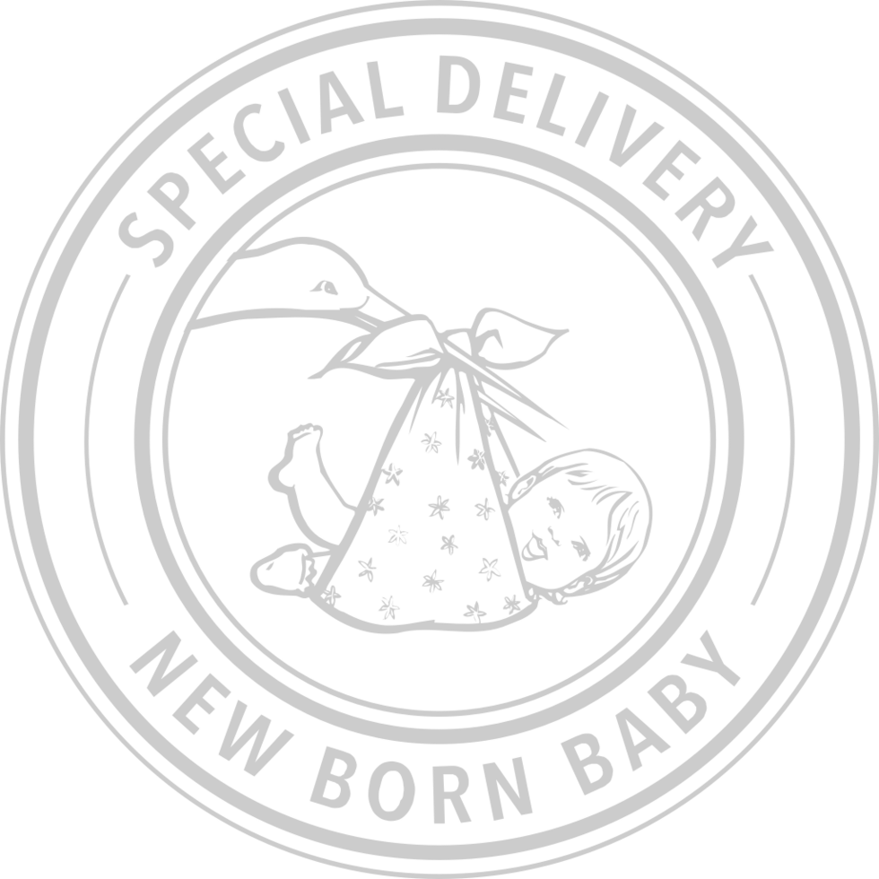 Stamp special delivery vector
