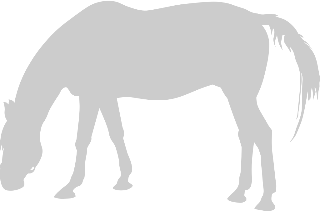 Equestrian vector