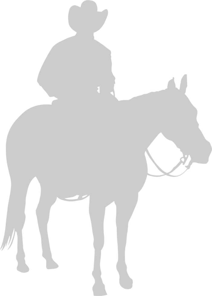 Equestrian vector