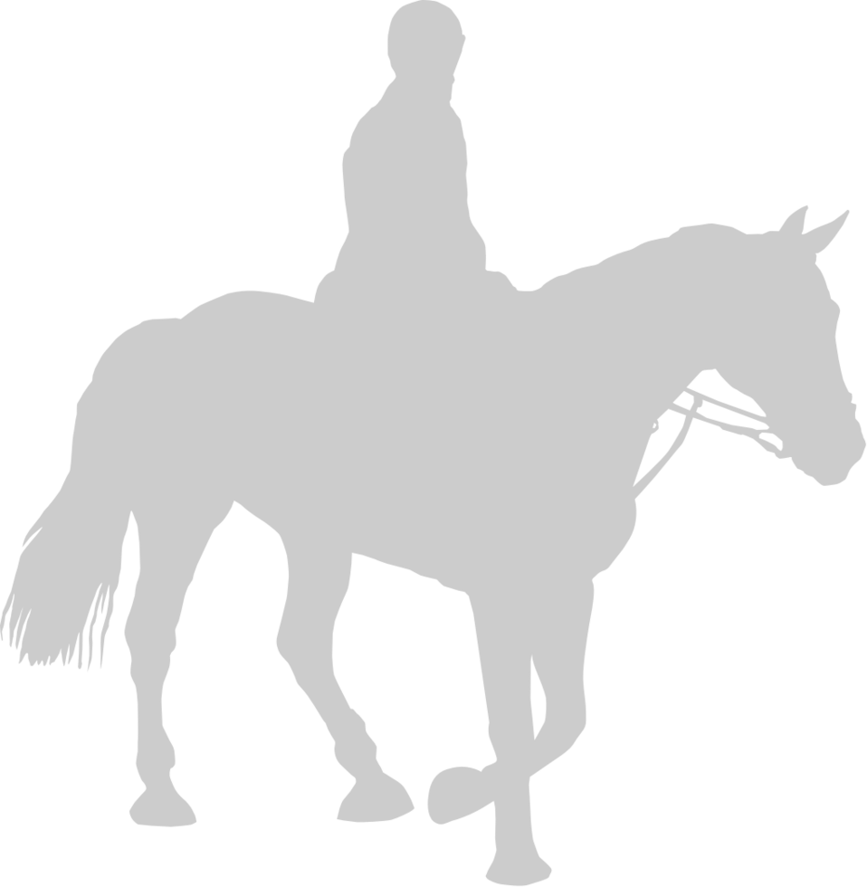 Equestrian vector