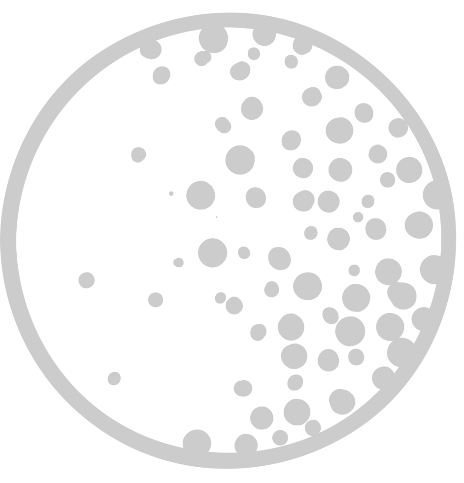 Moon 36666675 Vector Art at Vecteezy
