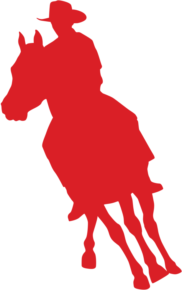 Horse Riding vector