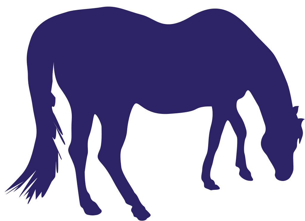 Horse vector