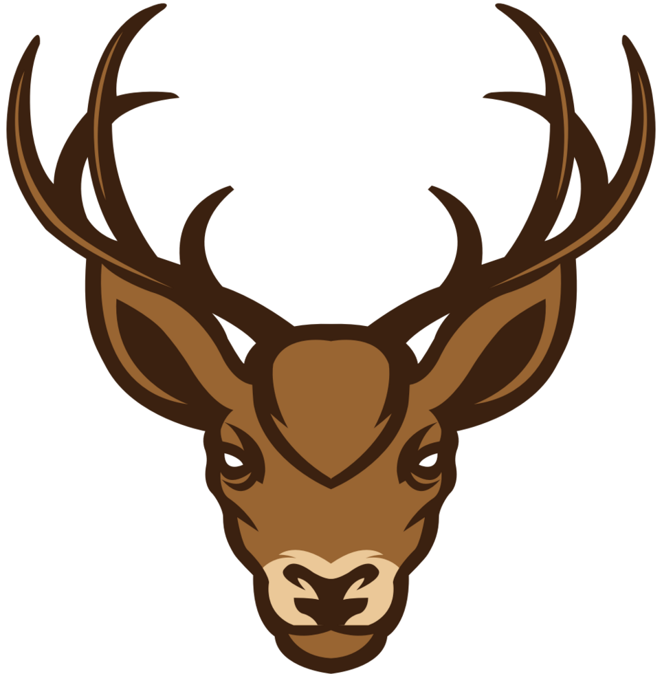 Deer vector